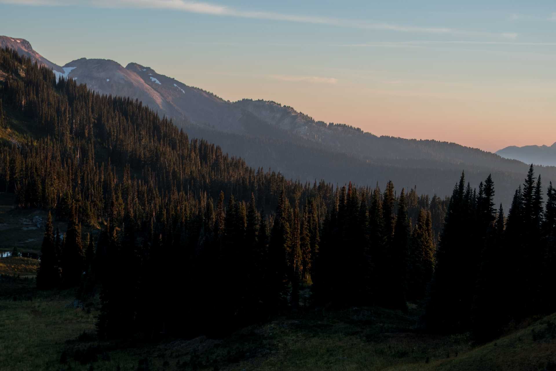 Photography preview 3