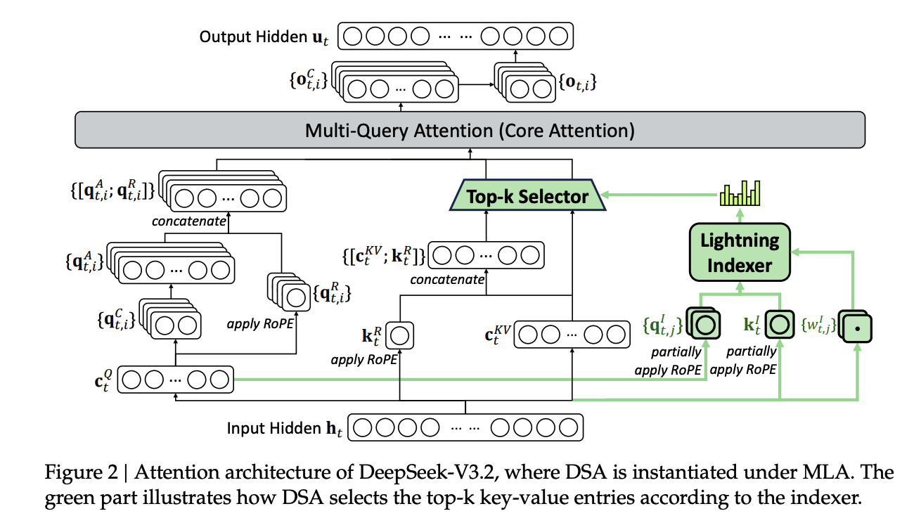 DeepSeek-V3.2 attention architecture with DSA under MLA. The green path shows the lightning indexer scoring tokens and the top-k selector choosing key-value entries for core attention.